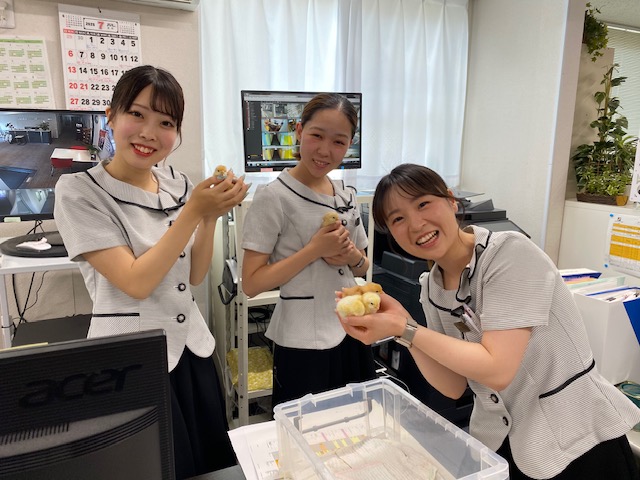 新しい家族（卵からヒナが孵りました🐣🤗）