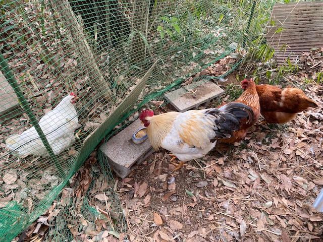 毎日ありがとう＾＾